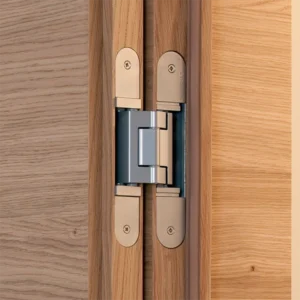 Door Hinges