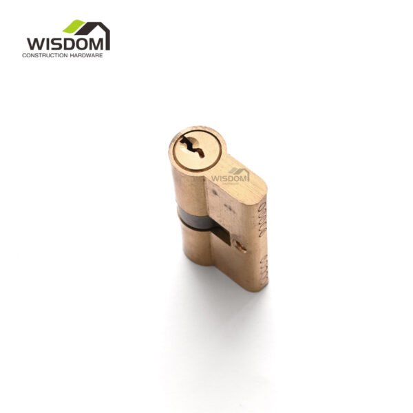 Door Cylinder,WSD-CL60G - Image 4