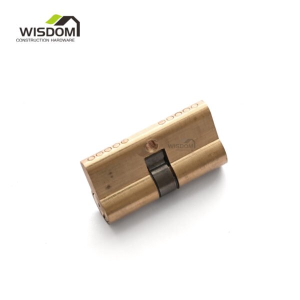 Door Cylinder,WSD-CL60G - Image 3