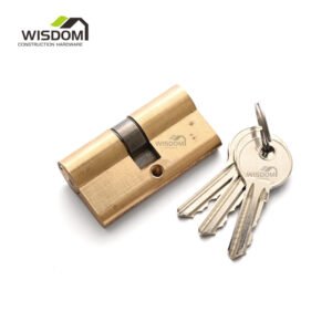 Door Cylinder,WSD-CL60G