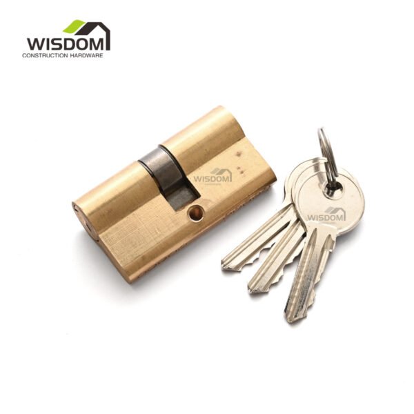 Door Cylinder,WSD-CL60G